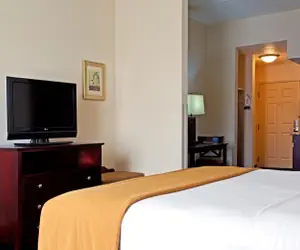 Photo 2 - Holiday Inn Express & Suites Chicago West-O'Hare Arpt Area , an IHG Hotel