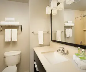 Photo 5 - Holiday Inn Express Hotel and Suites DFW-Grapevine, an IHG Hotel