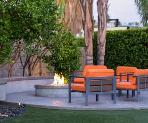 Photo 4 - The Palm Springs Hotel