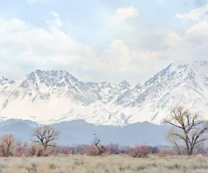 Photo 2 - Holiday Inn Express Hotel & Suites Bishop, an IHG Hotel