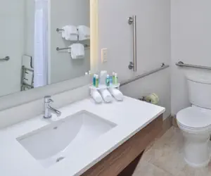 Photo 2 - Holiday Inn Express & Suites Farmington Hills - Detroit, an IHG Hotel