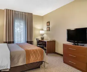 Photo 5 - Comfort Inn & Suites Suwanee - Sugarloaf