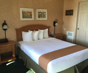 Photo 4 - Pepper Tree Inn