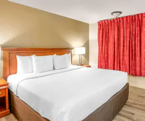 Photo 4 - Econo Lodge Inn & Suites Durango