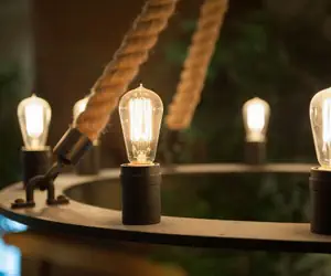 Photo 2 - Best Western Plus University Park Inn & Suites