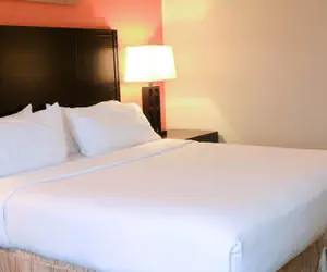 Photo 3 - Holiday Inn Express Hotel & Suites Grand Island, an IHG Hotel