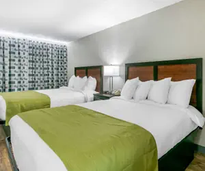 Photo 3 - Rodeway Inn Kingston Springs