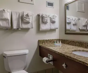 Photo 5 - Quality Inn & Suites