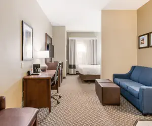 Photo 3 - Comfort Suites Fort Stockton