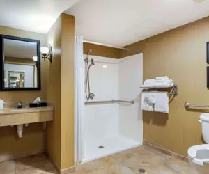 Photo 5 - Comfort Suites Kodak Sevierville