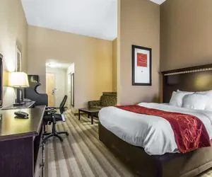 Photo 4 - Comfort Suites Smyrna