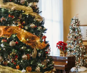 Photo 3 - Hotel Colorado