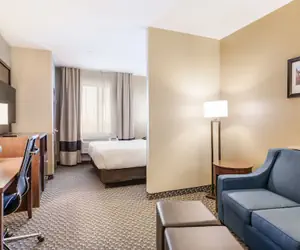 Photo 5 - Comfort Suites Fort Stockton