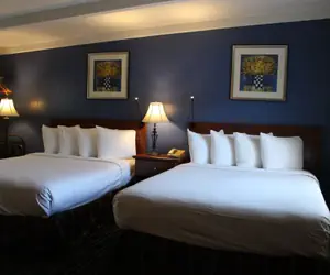 Photo 4 - Claremont Motor Lodge