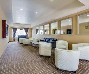 Photo 3 - Comfort Suites Deer Park Pasadena