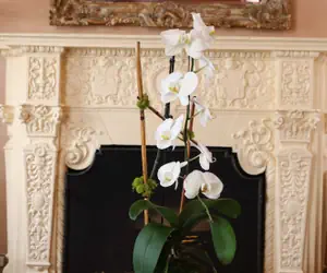 Photo 3 - Hotel Carmel