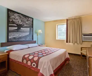 Photo 4 - Super 8 by Wyndham Lexington Park/California Area