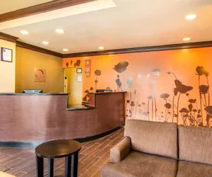 Photo 5 - Sleep Inn & Suites Athens South