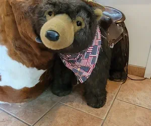 Photo 5 - Hot Springs Inn