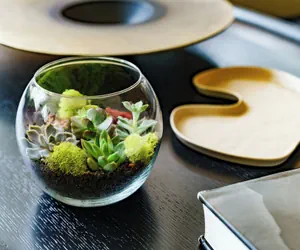 Photo 4 - AC Hotel by Marriott Bethesda Downtown