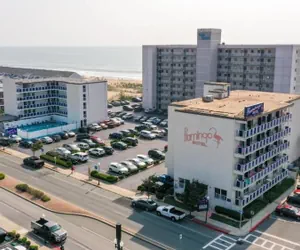 Photo 2 - Flamingo Motel