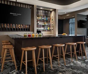 Photo 3 - Springhill Suites By Marriott Kalamazoo Portage