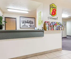 Photo 4 - Super 8 by Wyndham Shelton