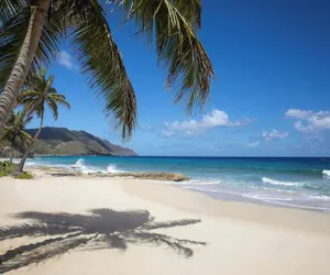 Photo 2 - Carambola Beach Resort St. Croix, US Virgin Islands