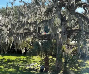 Photo 2 - Days Inn by Wyndham Brooksville/Dade City