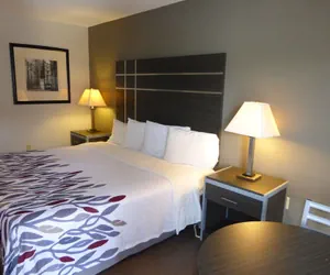 Photo 5 - Red Roof Inn Columbia, TN