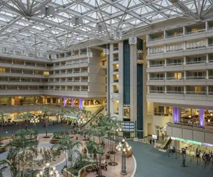Photo 4 - Hyatt Regency Orlando International Airport