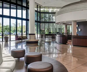 Photo 5 - Sheraton Tampa Brandon Hotel