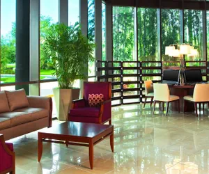 Photo 3 - Sheraton Tampa Brandon Hotel