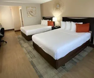 Photo 5 - Stanford Inn & Suites Anaheim