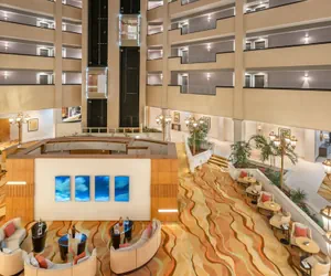 Photo 5 - Fort Lauderdale Marriott Coral Springs Hotel & Convention Center