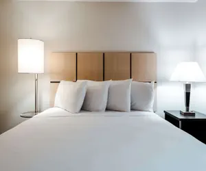 Photo 4 - Sonesta Simply Suites Dallas Richardson