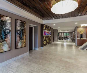 Photo 4 - SpringHill Suites by Marriott Austin The Domain Area