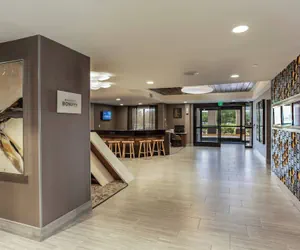 Photo 5 - SpringHill Suites by Marriott Austin The Domain Area