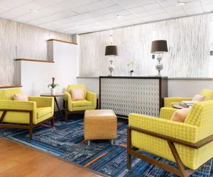 Photo 3 - Hampton Inn Naples Central