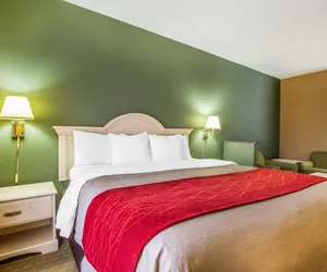 Photo 5 - Quality Inn Columbia I-65