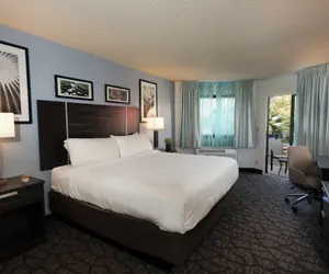 Photo 5 - Silver Sevens Hotel & Casino