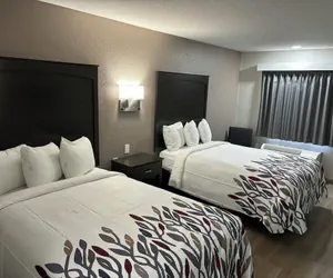 Photo 5 - Red Roof Inn Panama City Beach