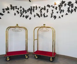 Photo 4 - Hotel Indigo Irving Las Colinas by IHG