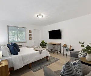 Photo 4 - Charming Cozy Studio Lake Ridge