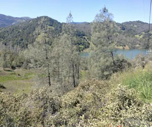 Photo 5 - The Ranch at Lake Sonoma