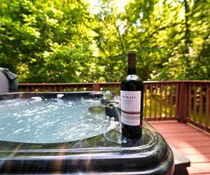 Photo 3 - Smoky Mountains Honeymoon Cabin Dog Friendly