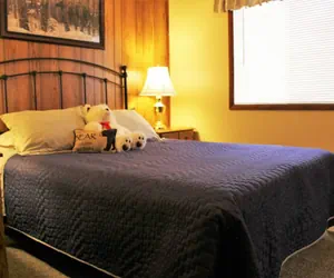 Photo 3 - Cabin with Foosball-Southern Comfort