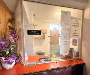 Photo 3 - The Queen B Motel, Detroit-Warren