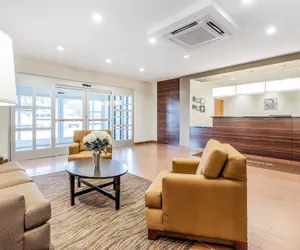 Photo 4 - Sleep Inn Dallas Love Field - Medical District