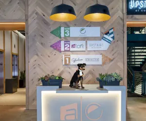 Photo 3 - Aloft Austin Downtown